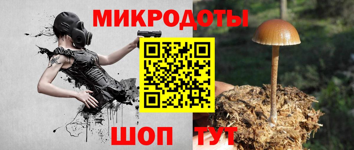 Галлюциногенные грибы мицелий  Псилоцибиновые грибы Cubensis  Туапсе  Вход с VPN 